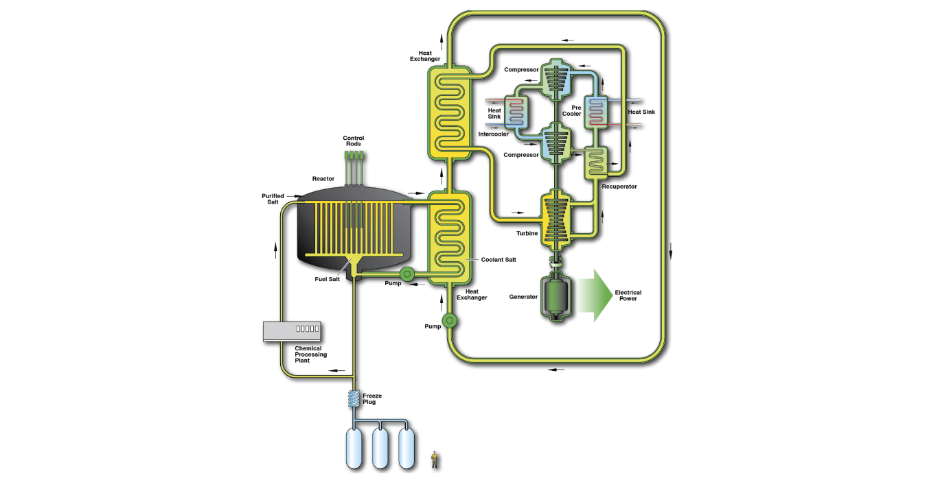 A design concept of a molten salt reactor