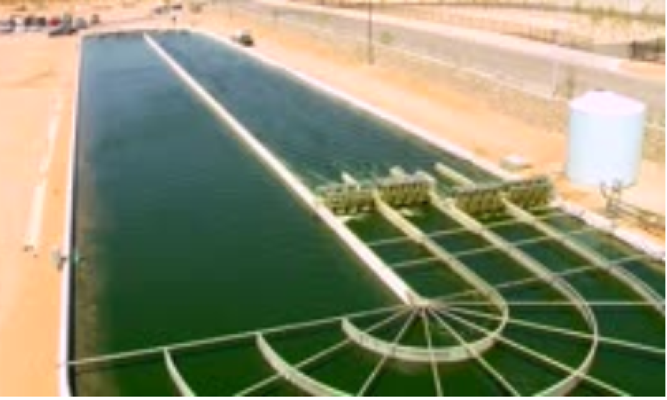 nm_raceway_pond.png