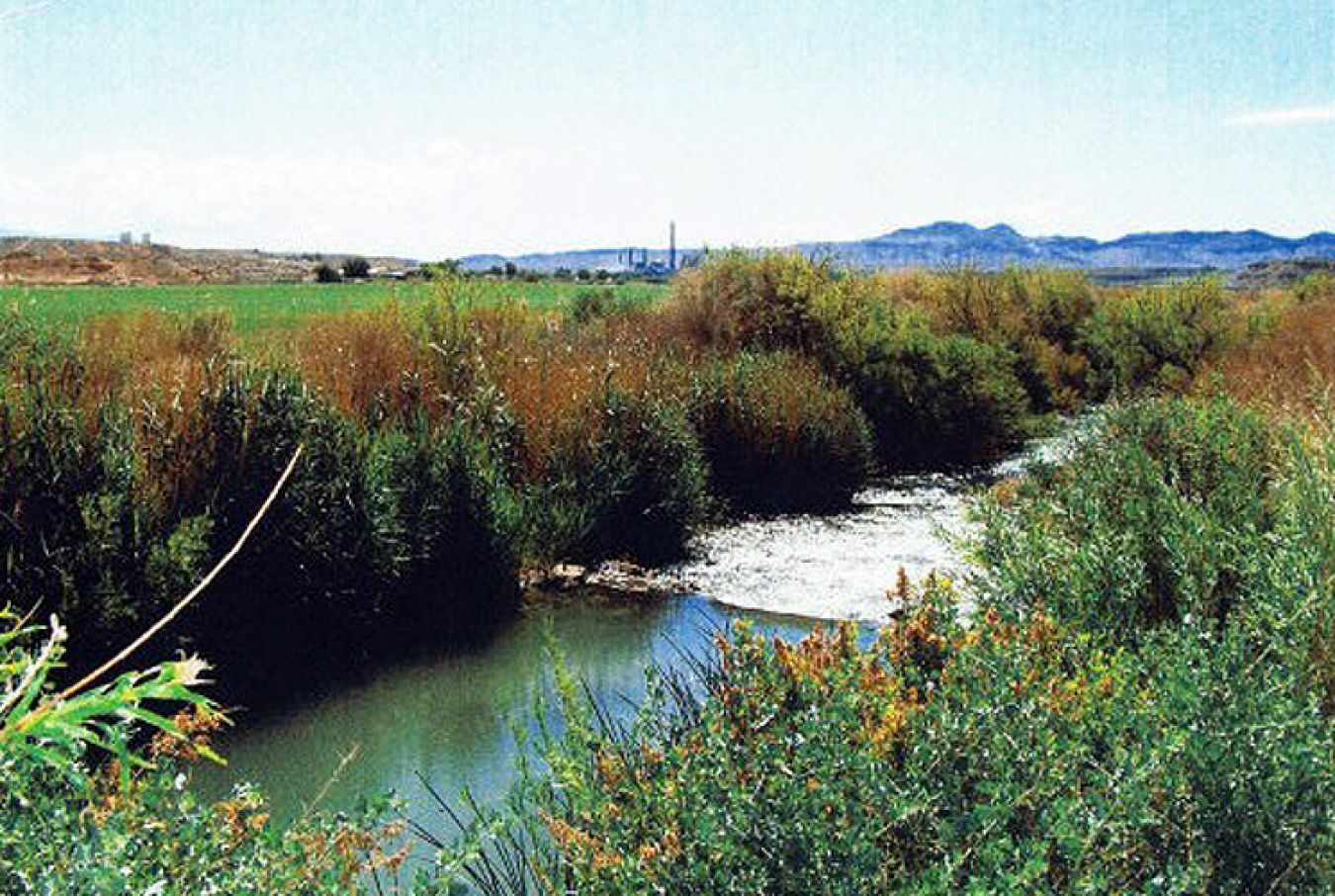 photo_3.jpg