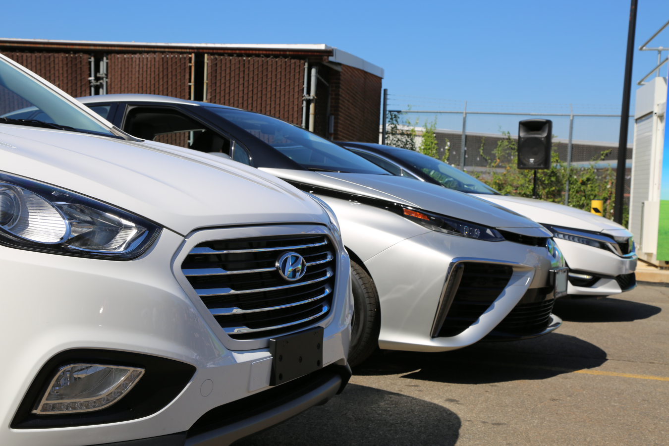 Three white and silver fuel cell vehicles parked next to one another with only the front of the vehicles showing.
