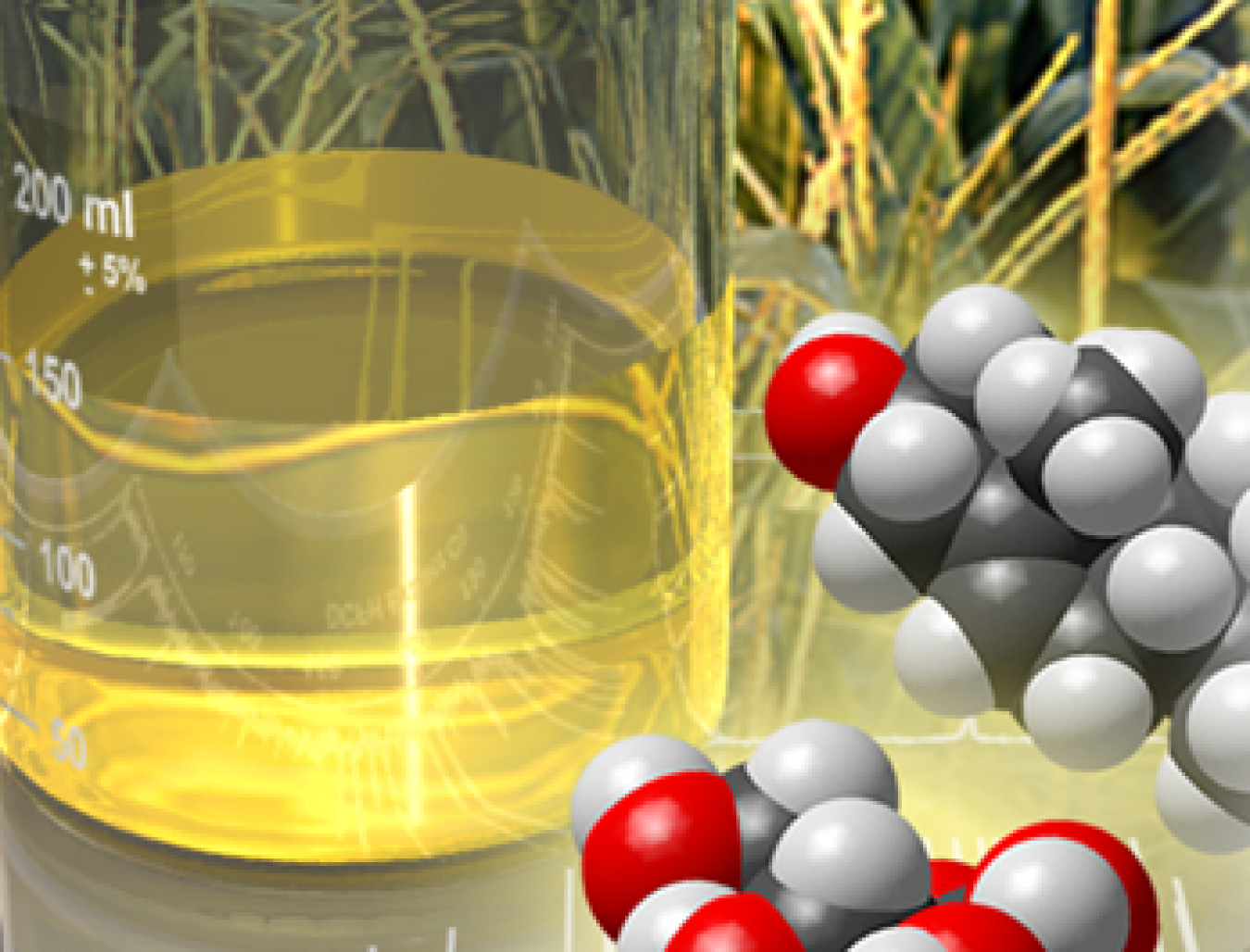 propylene_glycol.png