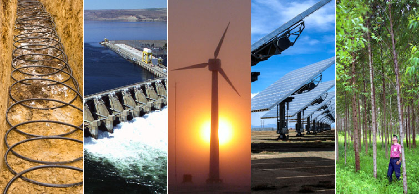 How is Biomass Energy Different from Wind Energy
