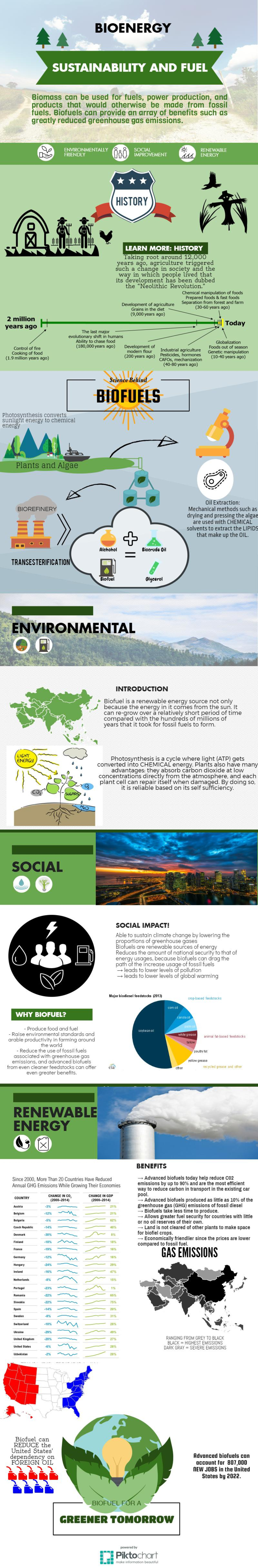 This infographic was created by students from N/A in Anaheim, CA, as part of the U.S. Department of Energy-BioenergizeME Infographic Challenge. The BioenergizeME Infographic Challenge encourages young people to improve their foundational understanding of