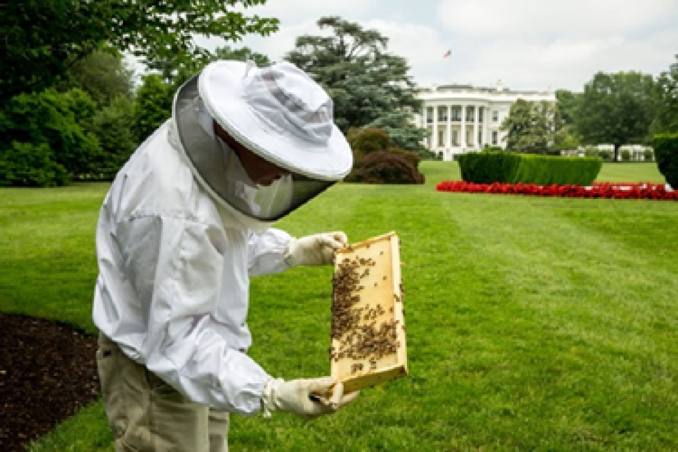 white-house-beekeeper-ppi.png