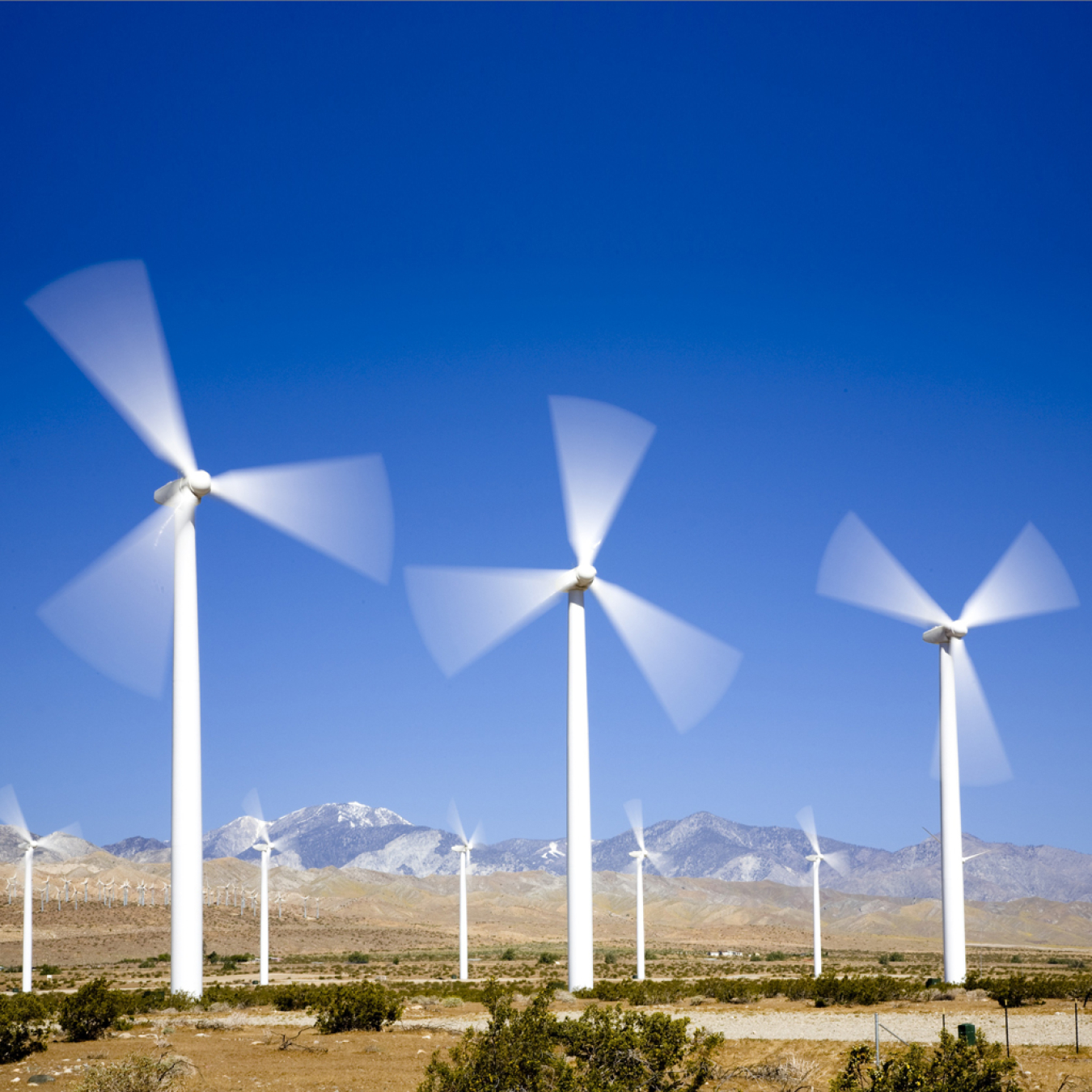 Windmill farm on clear blue day.