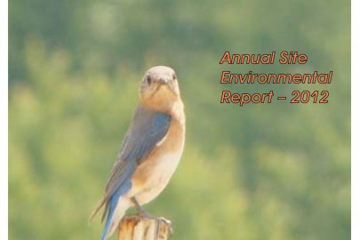 Image of the cover of the 2012 Portsmouth Site Environmental Report