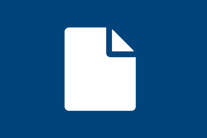 Report Annual Progress