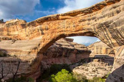 Natural Bridges National Monument