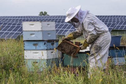 Farmer's Guide to Going Solar