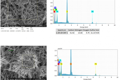 Carbon Nanorods for Intense Dehumidification