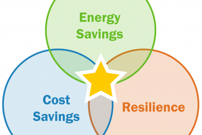 Distributed Energy Resources for Resilience