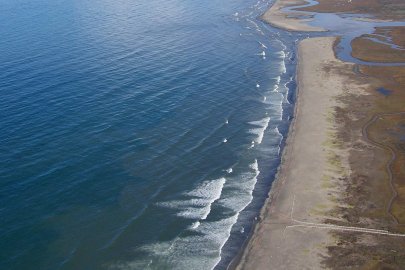 Tijuana River National Estuarine Research Reserve coastline. 