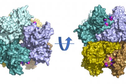 Image related to Coronavirus: Stay Up To Date