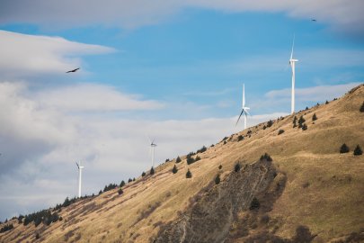 Photo of wind turbines in Kodiak.