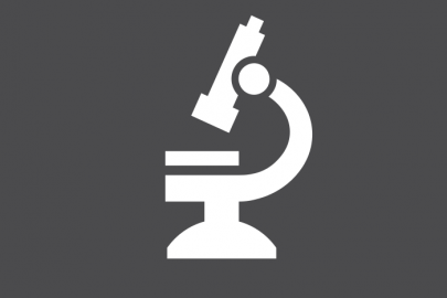 Biomass Characterization