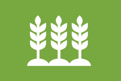 Biomass Feedstock