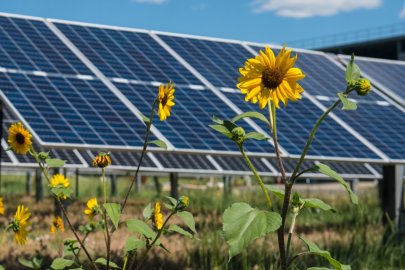 Solar Panel Installation Essex