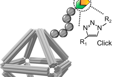 Schematic of a DNA origami equipped with imaging and cell-targeting capabilities. Click chemistry was used to conjugate functional molecules on the peptoid-coated origami surface.