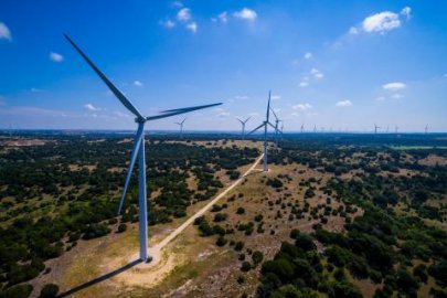 Wind turbines against the horizon.