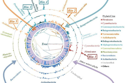 The new iCAMP framework can provide insights into assembly mechanisms of different phylogenetic groups, such as the relative importance of selection (HoS/HeS), dispersal (HD/DL), and drift in shaping variation of each ‘bin’ under different conditions.