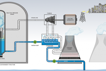 Pressurized light water reactor