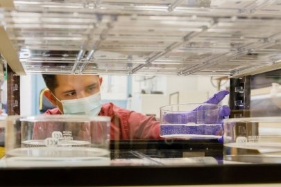 Internships, Fellowships, Graduate and Postdoctoral Opportunities 