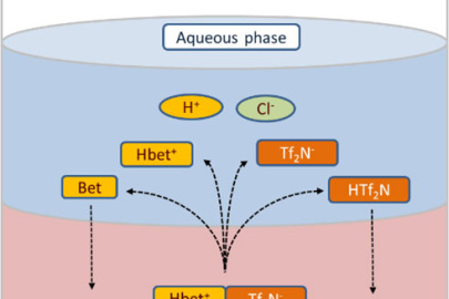 Dissolution of ionic liquid betainium bis(trifluoromethylsulfonyl)imide into the aqueous phase initiates chemical interactions and distribution of ions between the two liquid phases.