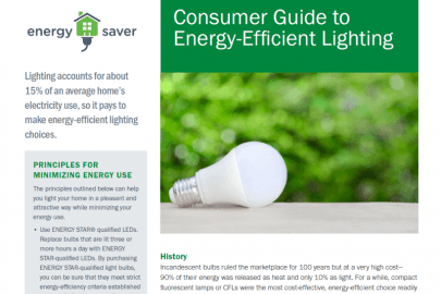 Consumer Guide to Energy-Efficient Lighting Fact Sheet