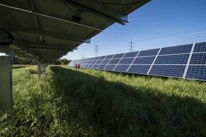Photo of solar arrays on grass showing the underside and top side of the panels