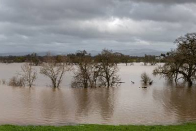Panorama of Flooding of the Laguna de Santa Rosa near Sebastopol, CA, USA. New research helps explains increased rainfall in the U.S. Pacific Northwest.