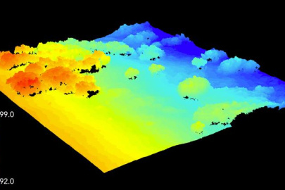 Three-dimensional rendering of surface elevation and structure of an Arctic vegetation canopy from the aerial system. Highly detailed information like this yields new insights into the distribution and structure of plants at high latitudes.