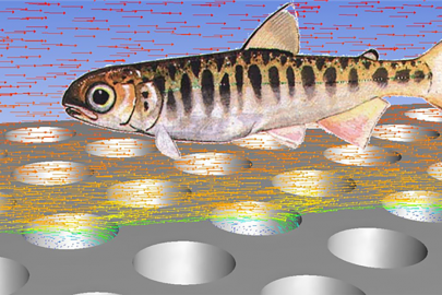 Collaborative Interagency Prize Solicits Solutions for Protecting Fish