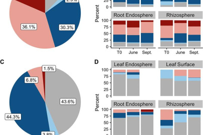 At left, overall dominance of microbiome assembly processes (see legend) for archaea and bacteria (A) and fungi (C). Right, relative dominance of same assembly processes in each habitat-sample date combination for archaea and bacteria (B) and fungi (D).