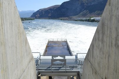 National Labs Identify Modeling Gaps in Studies Needed To Improve Understanding of Hydropower Capabilities