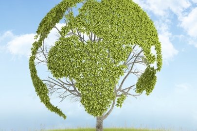 A photoshopped tree in the shape of the earth.