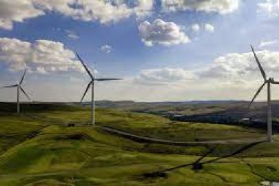 Wind turbines against the horizon.