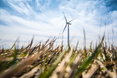 Wind turbine in the distance, blades of grass in the foreground.