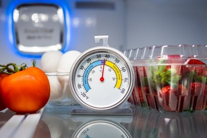 Refrigerator thermometer
