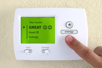 Thumbnail of the cover of the Energy Saver Guide: Tips on Saving Money and Energy at Home