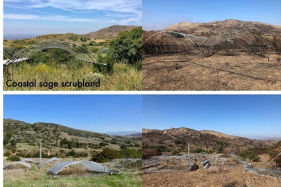Loma Ridge Global Change Experiment treatment plots in the California coastal sage scrubland and grassland before and after the Silverado fire in October 2020.