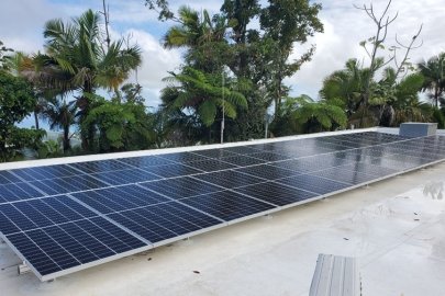 Solar Plus Storage Equals Energy Savings and Resilience for Iguaca Aviary