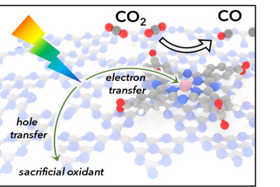 Depiction of light absorption by carbon nitride followed by electron transfer to a cobalt catalyst. The catalyst then reduces CO2 to CO. Acid-base interactions between the carbon nitride semiconductor and catalyst promote even coverage.