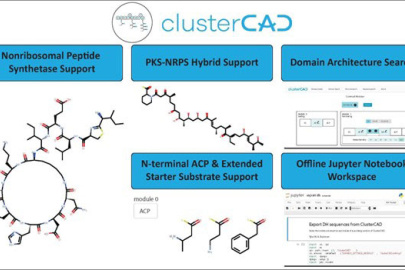 An overview of the new ClusterCAD features.