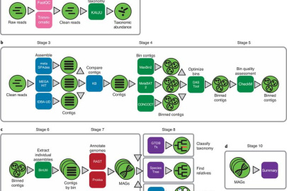 Overview of Metagenome-Assembled Genome Extraction data and analysis workflow using KBase apps.