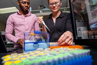 Two researchers pipette samples in a laboratory