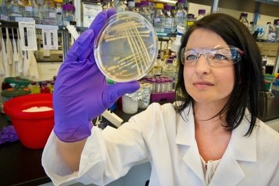 a person wearing a lab coat looking at a petri dish