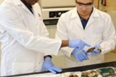 two scientist working in a lab