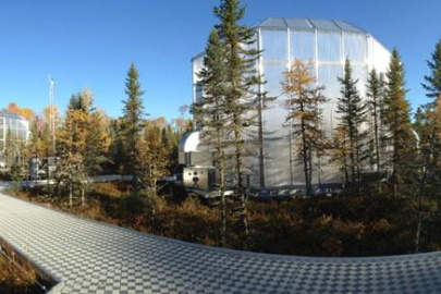 Researchers investigated the effects of warming and higher carbon dioxide on peat nutrient availability in the SPRUCE experiment in a Northern Minnesota peat bog.