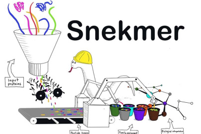 Snekmer is an application for building and searching protein family models and novel sequence clusters.