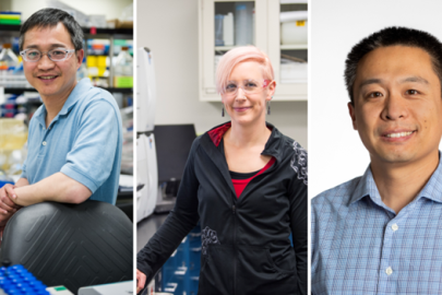 Algae Are Versatile Organisms. Meet Three NREL Scientists Working to Unlock Their Full Energy Potential